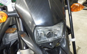 YAMAHA WR250X 2009 DG15J