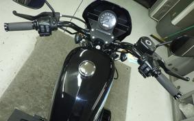 HARLEY XL1200NS 2019