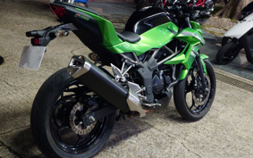 KAWASAKI Z250 SL BR250E