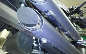 HARLEY XL1200NS 2021