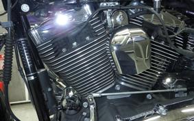 HARLEY FLSTF 1690 2017
