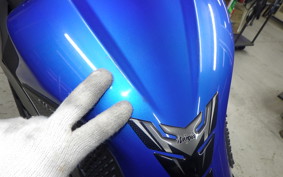 KAWASAKI NINJA 250 EX250L