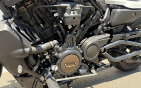 HARLEY RH1250S 2022 ZC4