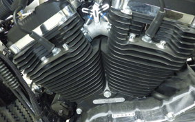 HARLEY XL1200XS 2019