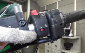 DUCATI MONSTER 821 2020