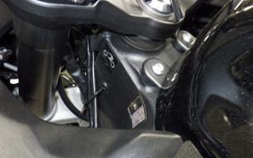 KAWASAKI NINJA 1000SX 2024 ZXT02K