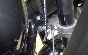 HARLEY FXLRST1920 2024