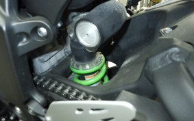 KAWASAKI NINJA ZX-6R A 2019 ZX636G