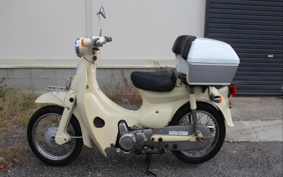 HONDA LITTLE CUB C50
