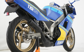 YAMAHA TZR250-1 1KT