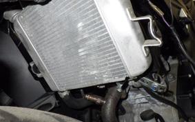 SUZUKI GSX-R125 2007 DL33B