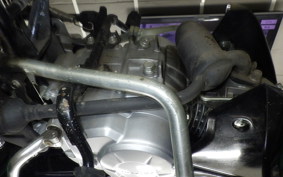 HONDA C50 SUPER CUB 2025 AA04