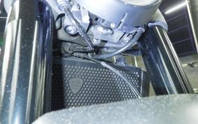 DUCATI MONSTER 937 + 2022