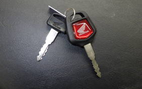 HONDA C50 SUPER CUB 2008 AA09