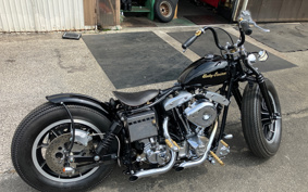 HARLEY Kit Bike 2024 181