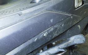 YAMAHA CYGNUSｸﾞﾘﾌｧｽ SEJ4J