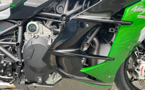 KAWASAKI NINJA H2 SX SE 2021