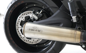 HARLEY FXDRS 2020 YVK