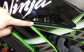 KAWASAKI ZX 10 NINJA ABS 2018