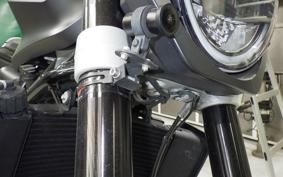 HUSQVARNA ENDURO 701 2019