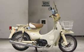 HONDA LITTLE CUB E AA01