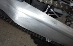 TRIUMPH TF450X