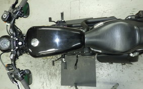 OTHER +HD. XL1200X 2014