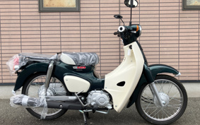 HONDA SUPER CUB50 AA09