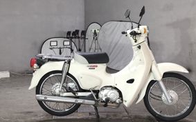 HONDA SUPER CUB110 JA44
