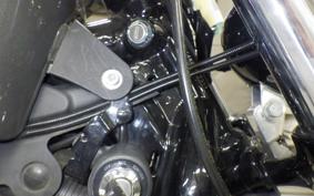 HARLEY XL1200X 2019