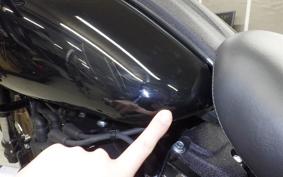 HARLEY FXLRST1920 2025