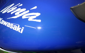 KAWASAKI ZX 10 NINJA ABS 2024 ZXT02L