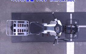 OTHER C110PU LOW 2