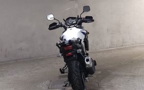 SUZUKI DL650 ( V-Strom 650 ) 2025 C733M