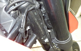 DUCATI HYPERMOTARD 950 2024