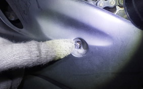 YAMAHA YZF-R25 1999 RG43J