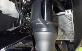 KAWASAKI NINJA 250 2 2011 EX250P