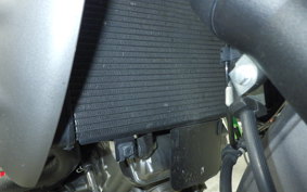 SUZUKI GLADIUS 2017 VK58A