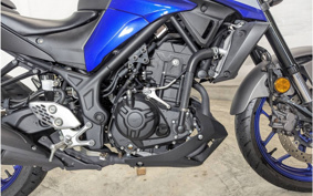 YAMAHA MT-25 RG43J