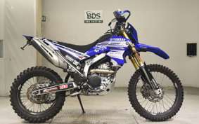 YAMAHA WR250R 2019 DG15J