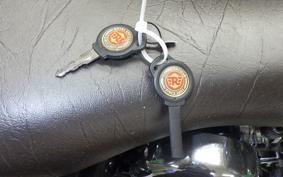 OTHER +ENFIELD CLASSIC500EFI 2021
