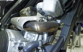 YAMAHA WR250X DG15J