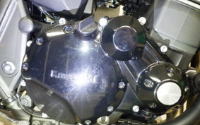 KAWASAKI ZRX1200 D 2016 ZRT20D