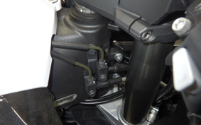 KAWASAKI ZX 1400 NINJA R A 2020