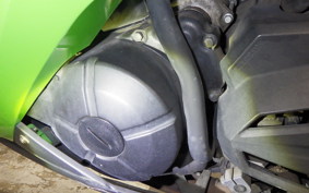 KAWASAKI NINJA 250 2008 EX250L