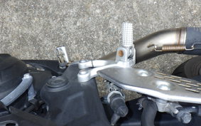 YAMAHA YZF-R25 1996 RG43J