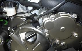 KAWASAKI NINJA ZX-6R A 2019 ZX636G