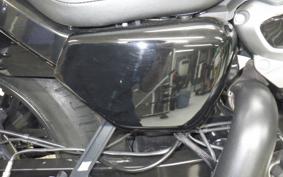 HARLEY RH975 2022