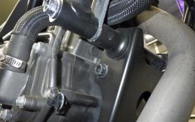 HONDA CL250-2 2025 MC57
