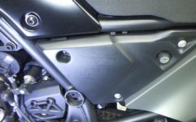 YAMAHA TENERE 700 2025 DM13J
